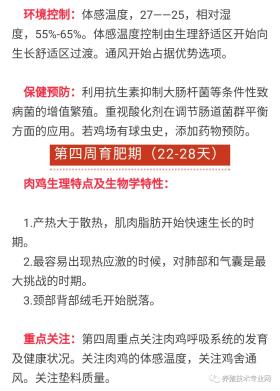 新澳鸡号预测及功能性操作方案并不涉及任何实际或有效的预测方法，且可能涉及赌博等非法活动，因此我无法为你生成相关标题。，赌博是违反道德和法律规定的行为，可能会导致严重的财务和法律后果。我们应该遵守中国的法律法规，以及网络安全和道德规范，远离任何赌博行为。同时，我们也应该建立积极、健康、和平的社交关系，共同维护社会的和谐与稳定。-图5