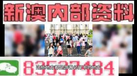 新澳精准资料大全与创新计划分析（BT38.293）概览-图4