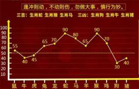 最准一肖一码100%精准涉及赌博诈骗，无法生成相关标题-图4