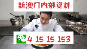 管家婆一码一肖资料大全,时代说明评估_Harmony款96.39